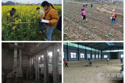 贵州金晨农产品开发有限责任公司