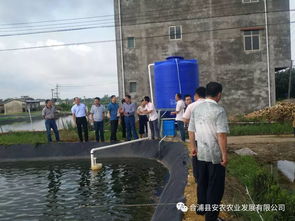 尾水处理循环系统投入使用,广西合浦县安农农业发展有限公司尝试生态水产养殖新模式